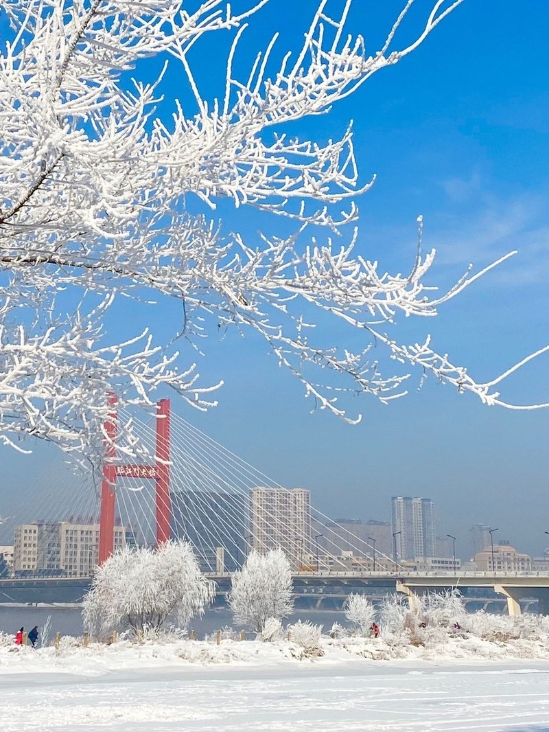 吉林的温馨日常,友情的温暖与陪伴的力量