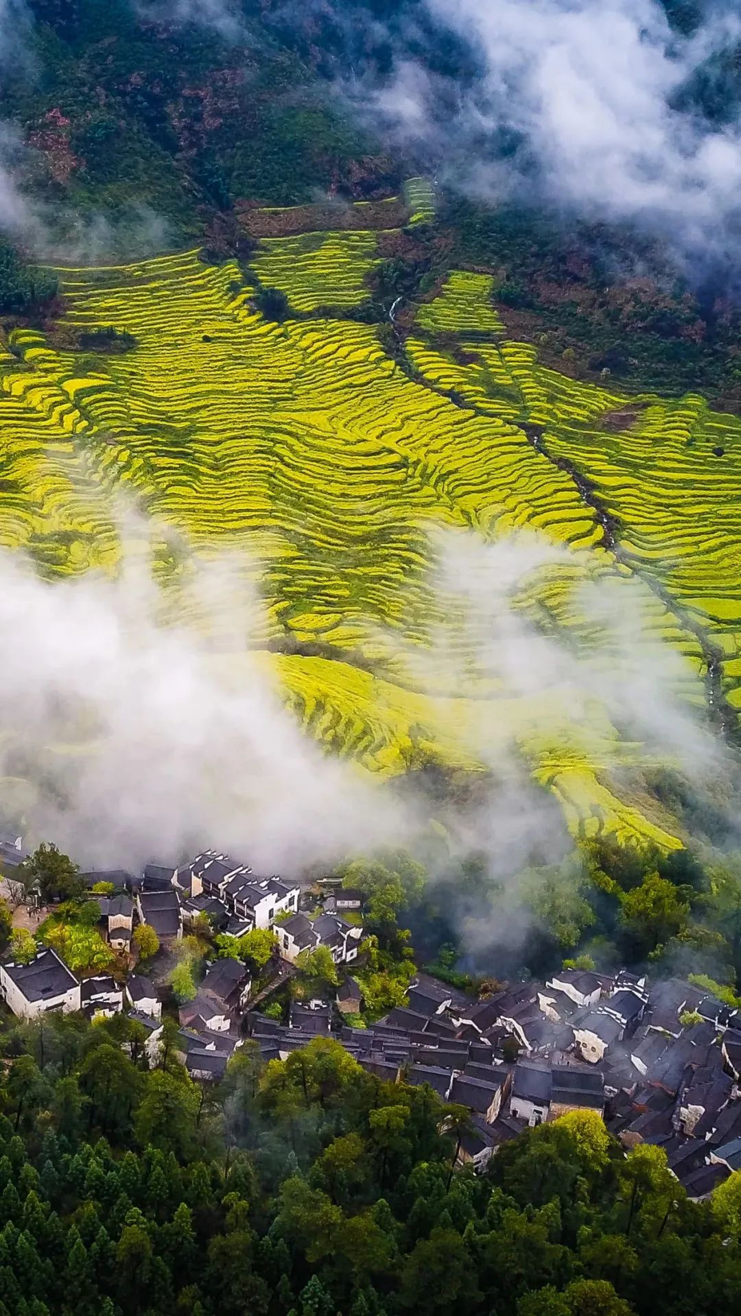 江西，历史文化的璀璨瑰宝与自然风光的壮丽画卷