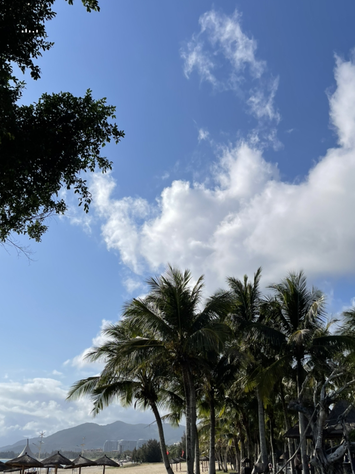 海南,热带天堂的悠然生活画卷