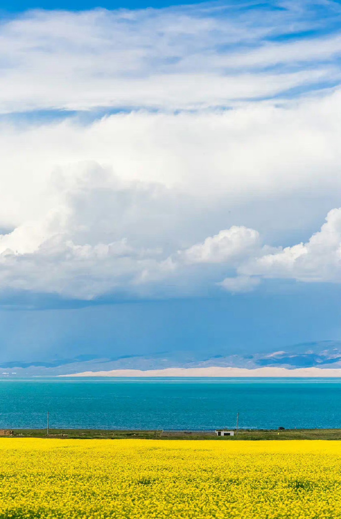 青海,致敬领导与朋友们的尊贵聚会